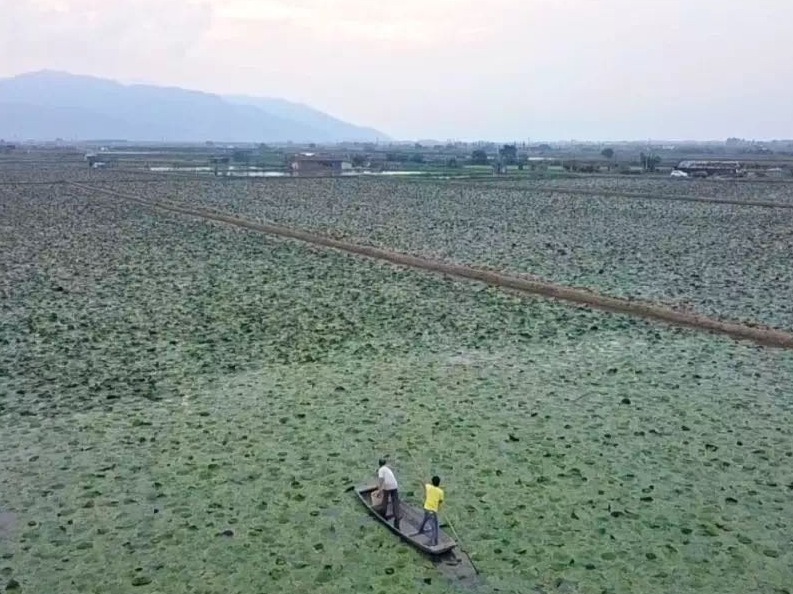 肇庆——鼎湖肇实闯天下
