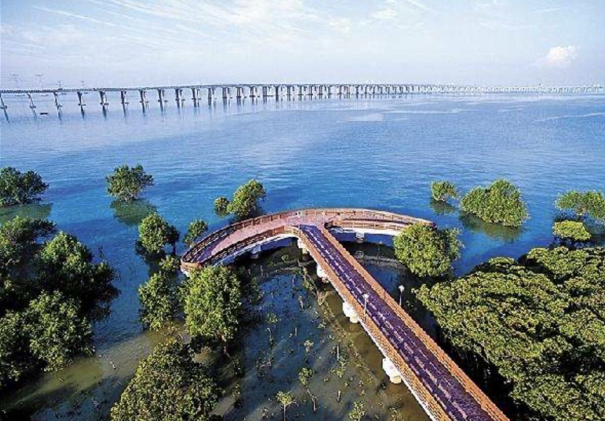 西乡街道新增非机动车道连接滨海美景