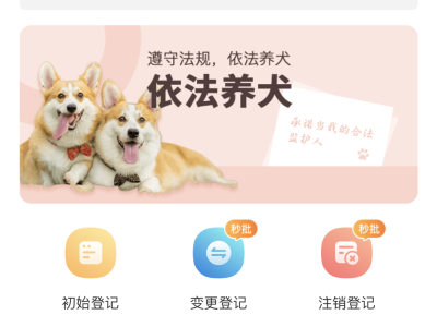 铲屎官们注意啦！深圳养犬服务小程序上线