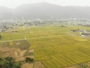 全国农村土地确权颁证率达到96% 农民吃上长效“定心丸”  