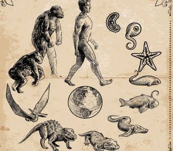 达尔文珍贵笔记本或已遭窃！内含关于进化论笔记