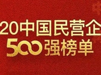 广州15家企业入选2020中国民营企业500强