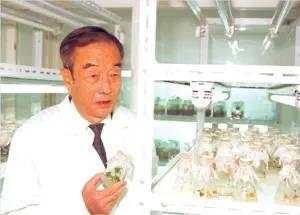 “黄瓜王”侯锋院士逝世，享年92岁 