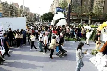 市规资局宝安局：保护野生动物，共建和谐家园，野生动物保护路演宣传活动成功举办
