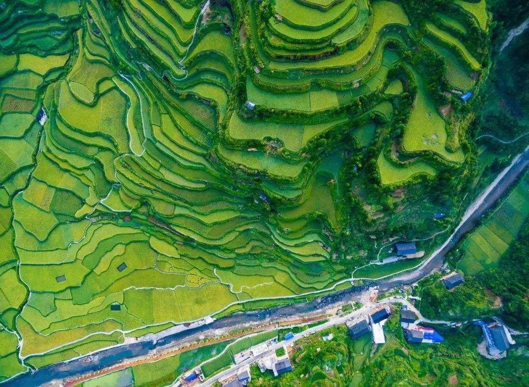 中国的“绿色答卷”，不容美政客无端指责