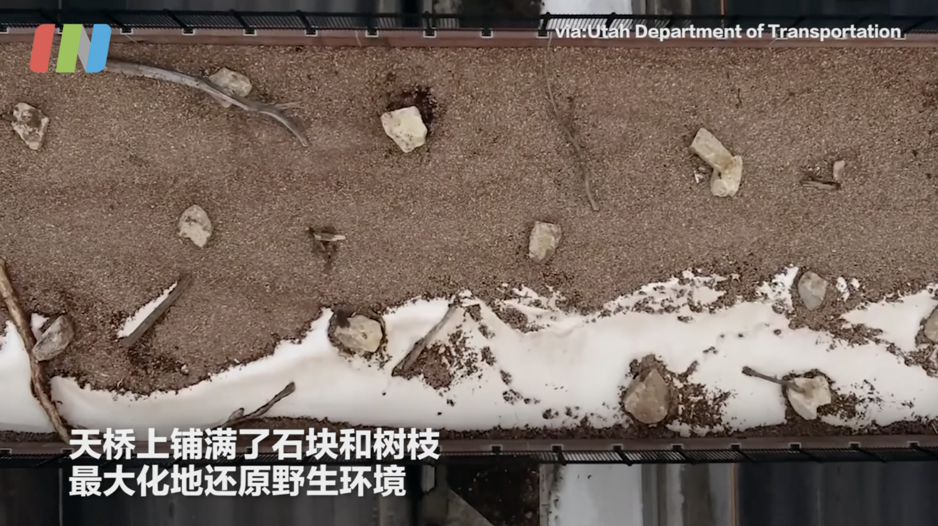 美国建造野生动物专属天桥 动物们避开车流安全跨越公路