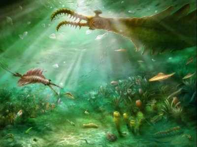 全球首次发现！这只5亿年前的“虾”竟长了5只眼睛……