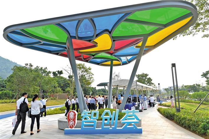 系列行业大赛11月在宝安人才园举行 宝安全力推动各类人才培育和引进