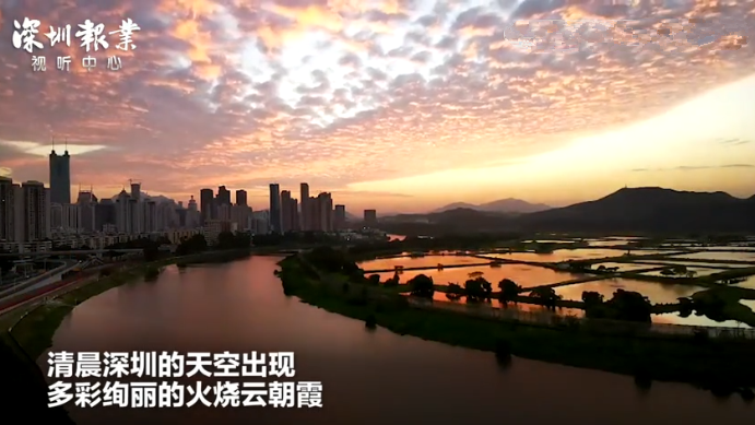 超美火烧云！深圳“双十一”限定朝霞，你看到了吗？