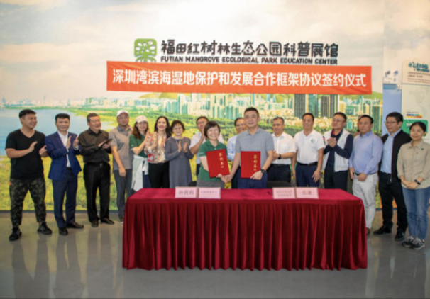 社会化力量参与自然保护，深圳湾滨海湿地保护和发展合作框架协议签订