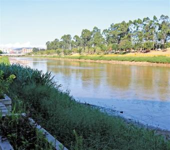 李松蓢面源污染100%完成整治  实现河道水清岸绿景美