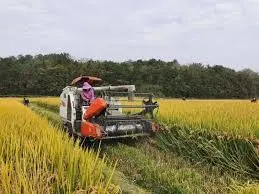 晚稻亩产911.7公斤！袁隆平团队冲击双季稻亩产纪录成功！
