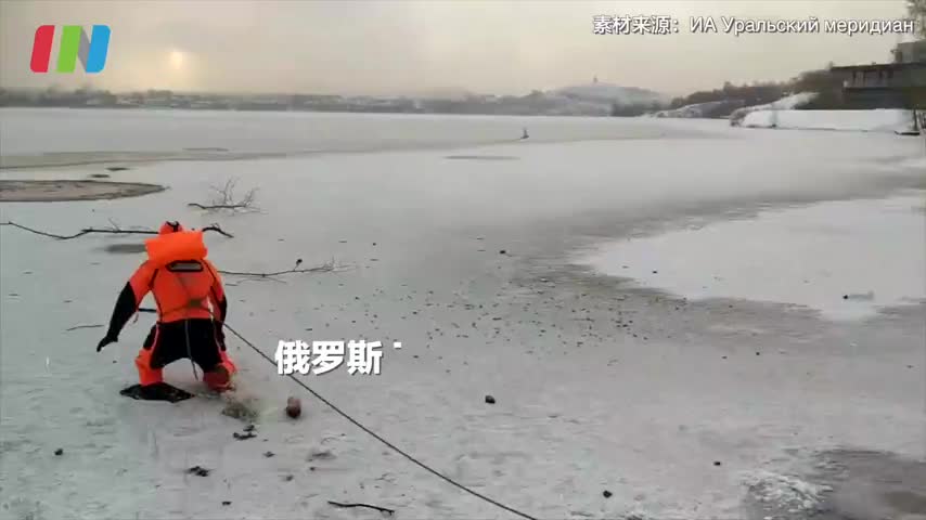 流浪狗追鸟被困浮冰，好心俄罗斯大叔下水救其上岸