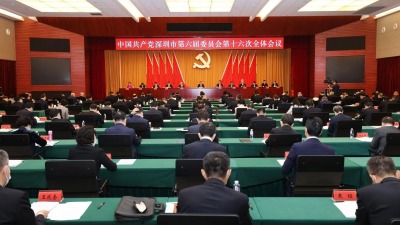 中国共产党深圳市第六届委员会第十六次全体会议决议