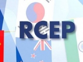 专家：以RCEP签署为机遇加快“环南海经济合作圈”构想落地