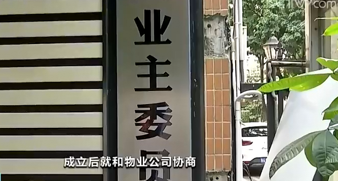 广州一小区给业主分红利最高分近千元