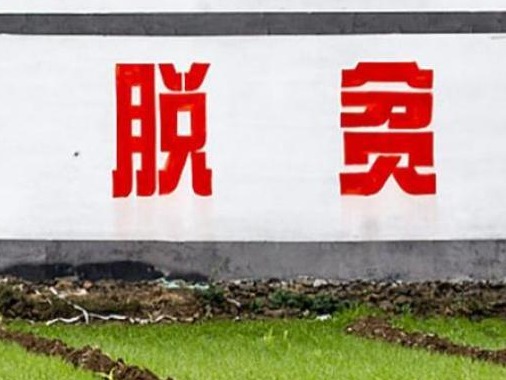全国已有21个省区市的贫困县全部脱贫摘帽 