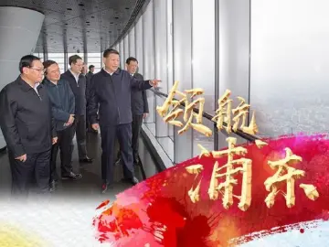 长图｜领航浦东 