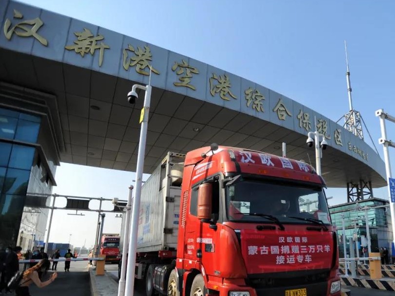 出发！武汉10台冷链车将接运蒙古国捐赠首批1.2万只羊