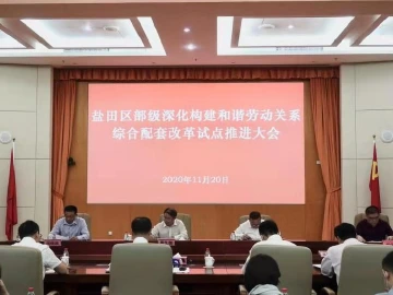 抢抓机遇乘势而上，盐田区稳步推进部级深化构建和谐劳动关系综合配套改革试点工作