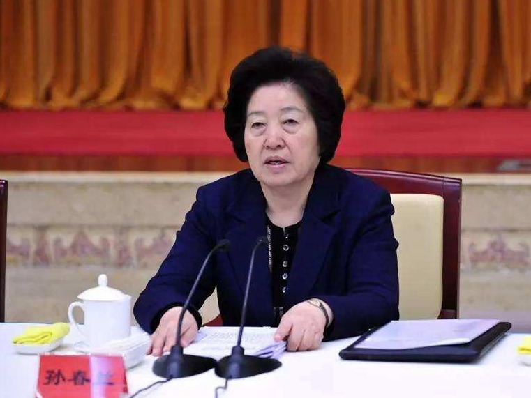 孙春兰调研新疆：尽快阻断疫情扩散蔓延