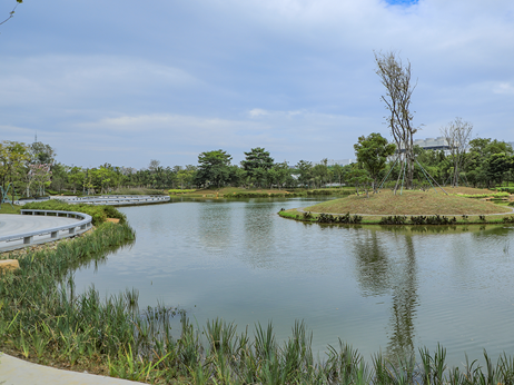 生态修复再现旖旎风光！深圳将再添一处湿地公园