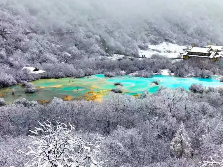黄龙上万年钙化滩遭游客踩踏！​景区通报 