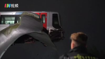 有“鲸”无险～荷兰脱轨地铁被鱼尾雕像拦下