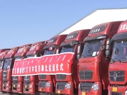 经严格核酸检测，蒙古国捐赠首批1.2万只羊加工后今运往武汉