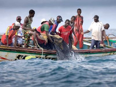 塞内加尔渔民出现不明原因皮肤感染，2天内增至近200人