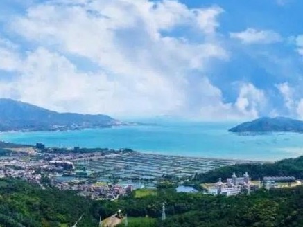 10月首摘全市桂冠！大鹏新区环卫指数稳步提升