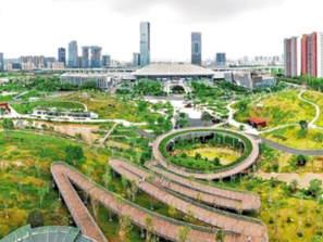 龙华区： 奋力谱写新时代新征程龙华发展新篇章