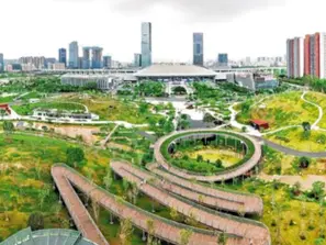 龙华区： 奋力谱写新时代新征程龙华发展新篇章