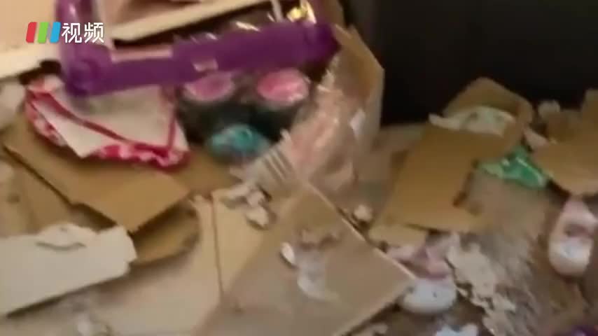 暴躁拆家狗子 变身温柔婴儿保姆