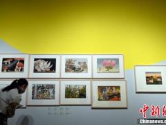 庆祝中瑞建交70周年插画师作品展吸引参观者