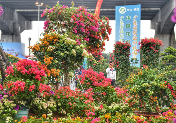 2020中国（中山）花木产业大会创两个“之最”：15家企业参展成交14亿元