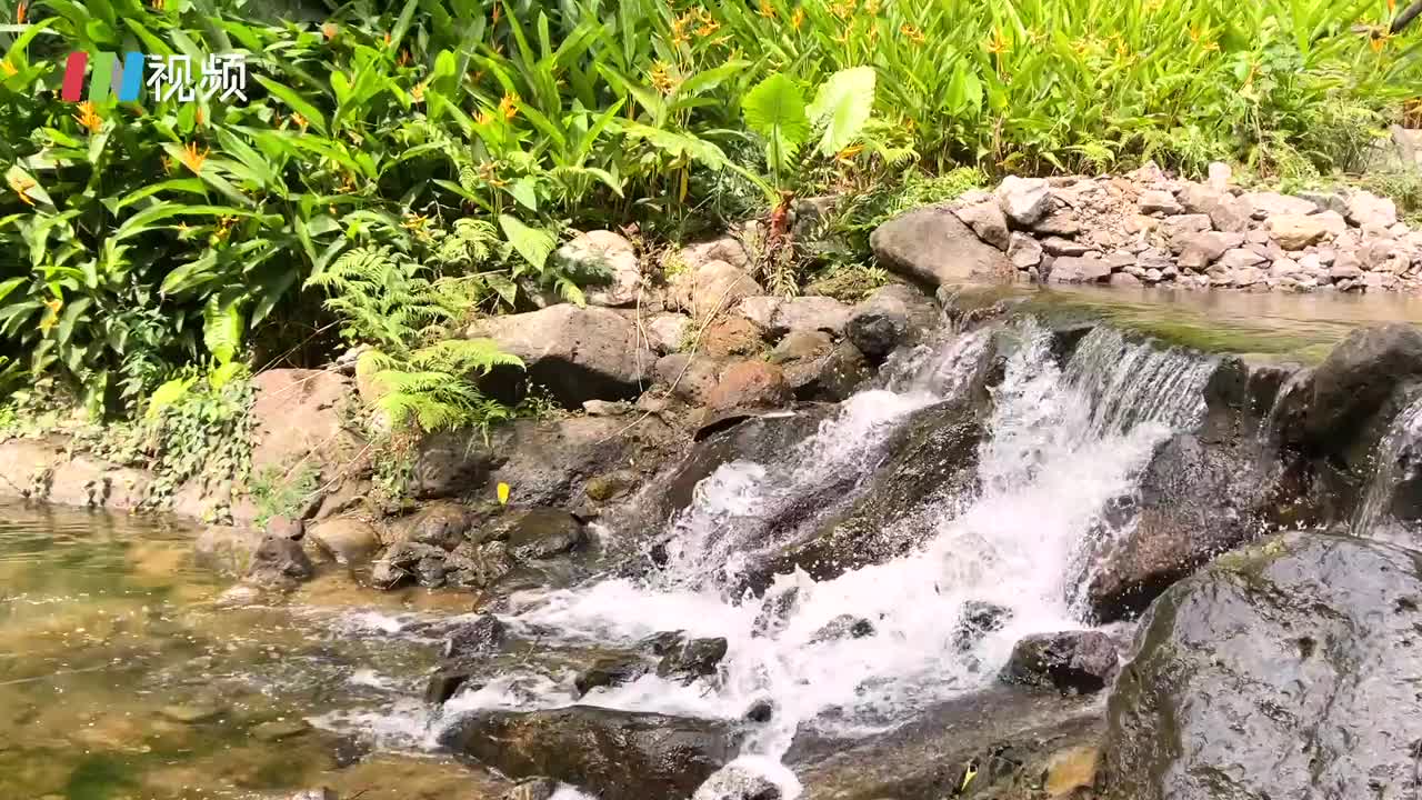 在盐田后花园看秋天颜色，收藏深圳鲜为人知的小众秘境