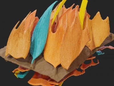 飞蛾翅膀竟是天然隐形声学超材料 