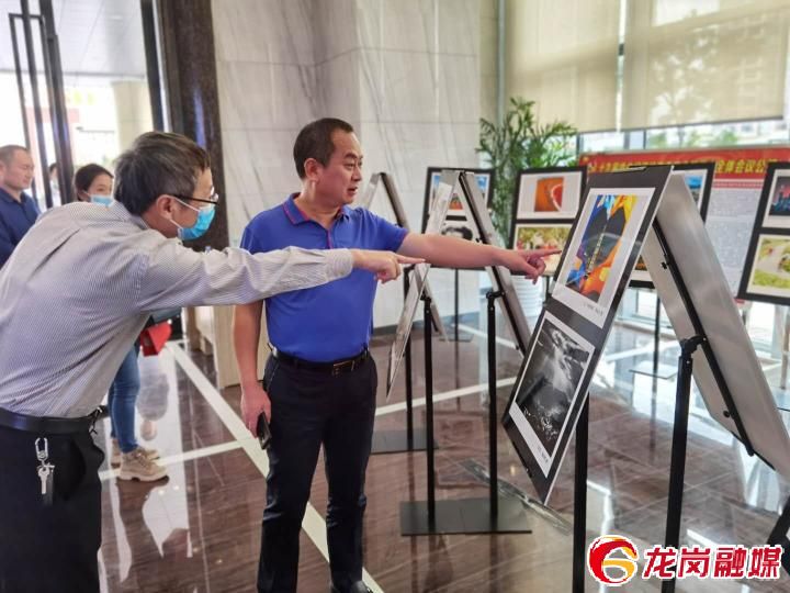 平湖 | 百幅摄影作品展现平湖人奋进脚步
