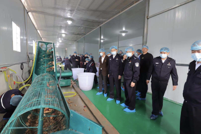 深圳边检帮扶建成的“云端上的红薯加工厂”正式投产