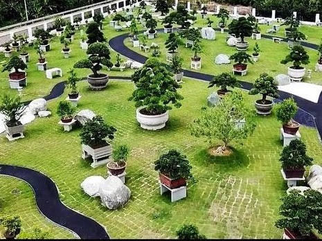 广州花都瑞岭盆景艺术节开启，国家级、省级盆景大师现场创作