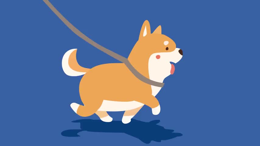 玩成表情包！看小猫咪对哪款逗猫棒最疯狂