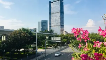 12月9日前报名，符合条件的，大专学历可落户广州南沙！