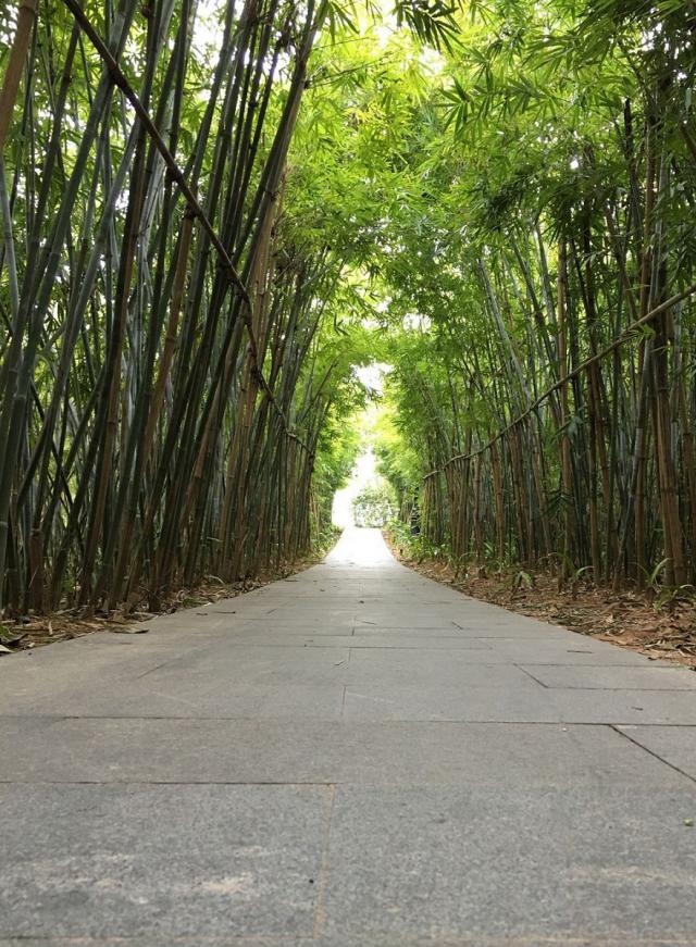 报名开始！福田超级联赛登高、亲子绿道跑等你来