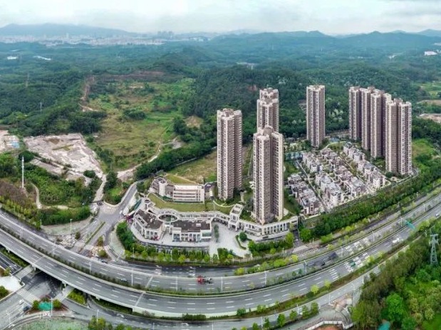 龙华区：发力数字龙华建设，打造数字经济先行区