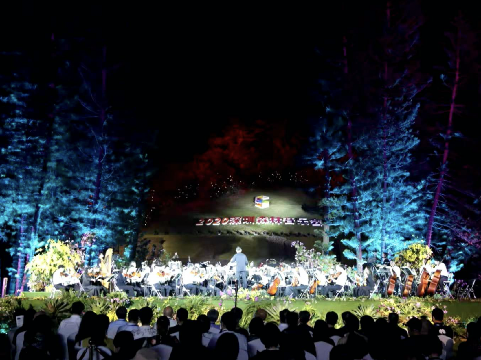 森林中花境里，2020深圳森林音乐会仙湖奏响