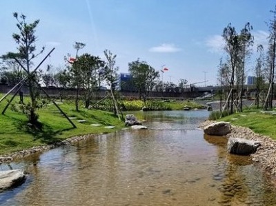 发现光明最美治水景观丨楼村湿地公园：明湖映天光 花径起香尘