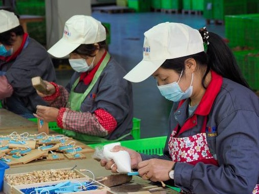 人社部：前10月新增就业1009万，提前完成全年目标  