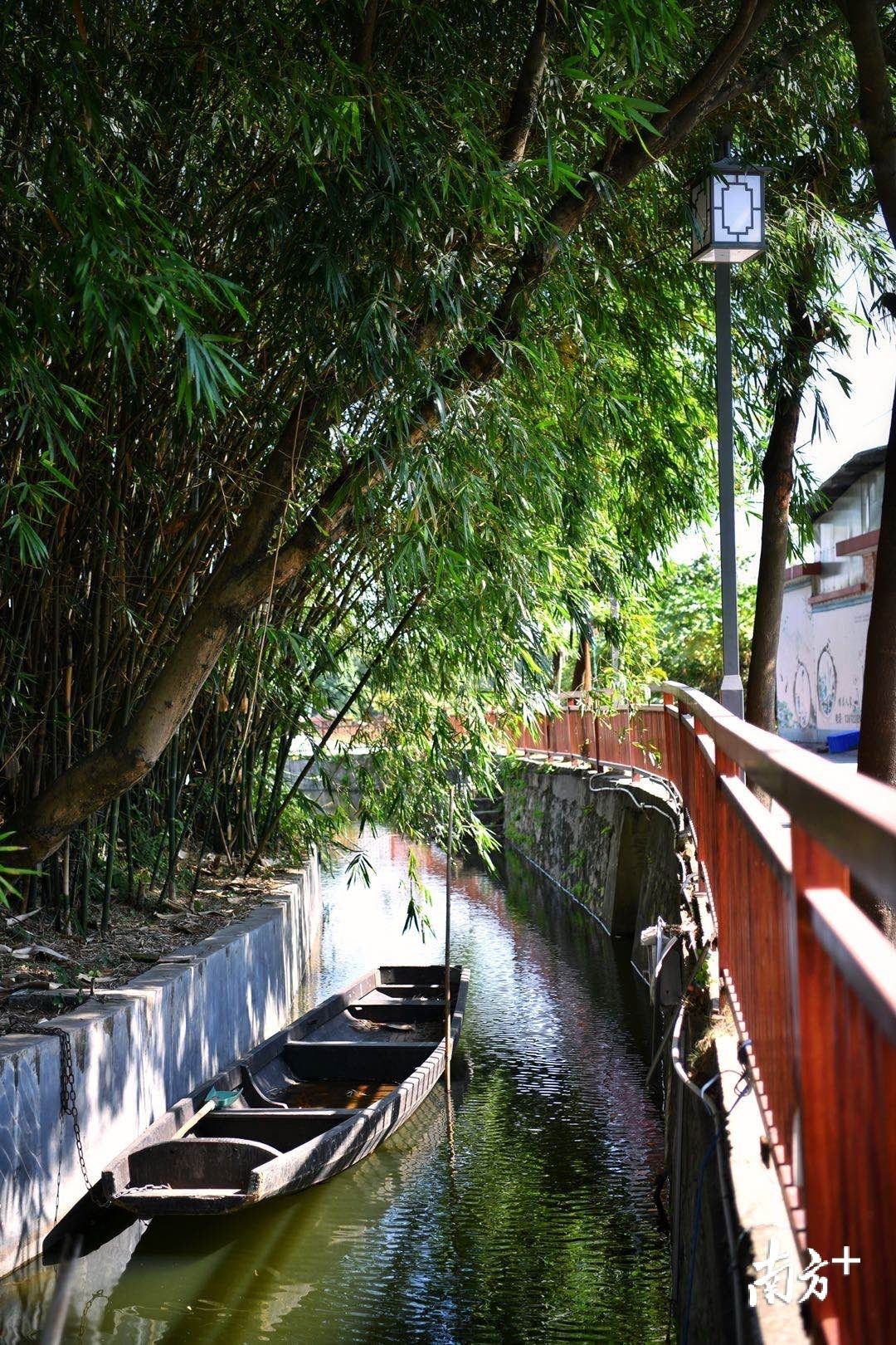 樹影婆娑,魚塘泛碧,石橋流水,特色民居,構成一幅人與自然和諧共生的圖