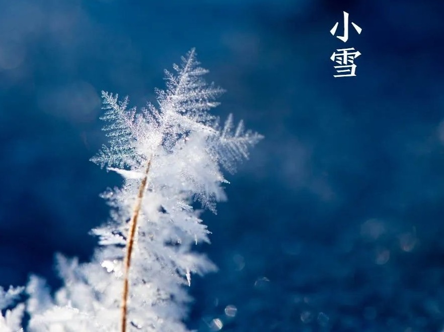 今日小雪丨小雪忽至，万物冬藏，愿君多珍重！  